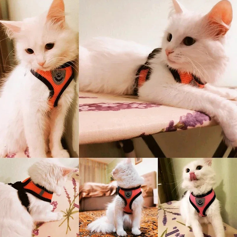 Arnés Táctico "VibeCat Commando": Domina la calle con tu michi